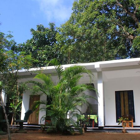 Sigiriya Mana B&B Εξωτερικό φωτογραφία