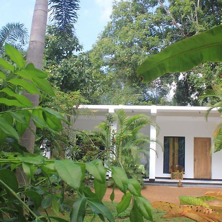 Sigiriya Mana B&B Εξωτερικό φωτογραφία