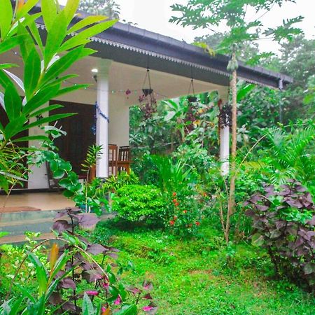 Sigiriya Mana B&B Εξωτερικό φωτογραφία