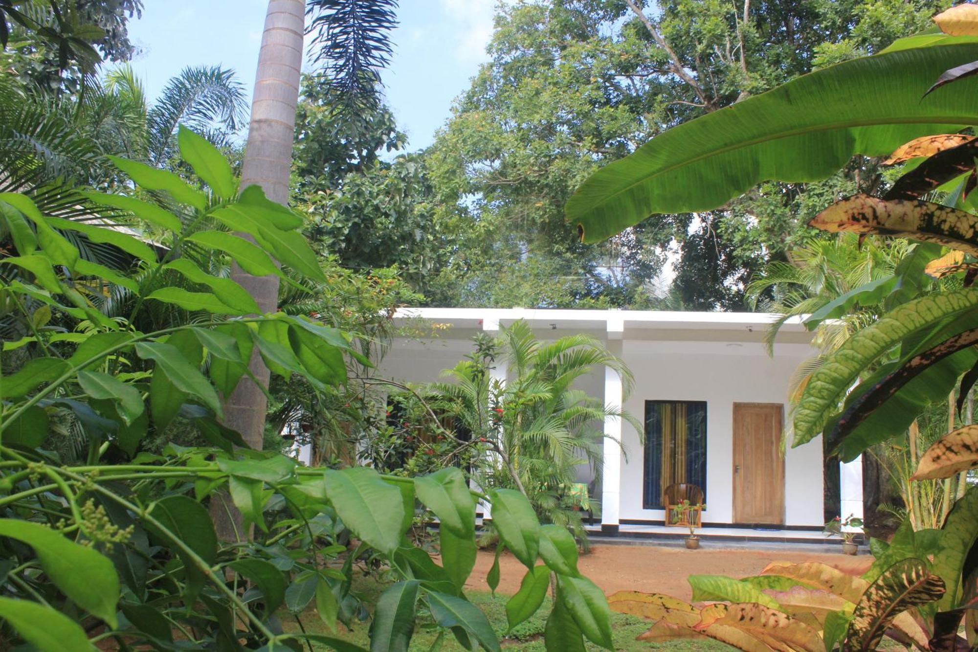 Sigiriya Mana B&B Εξωτερικό φωτογραφία