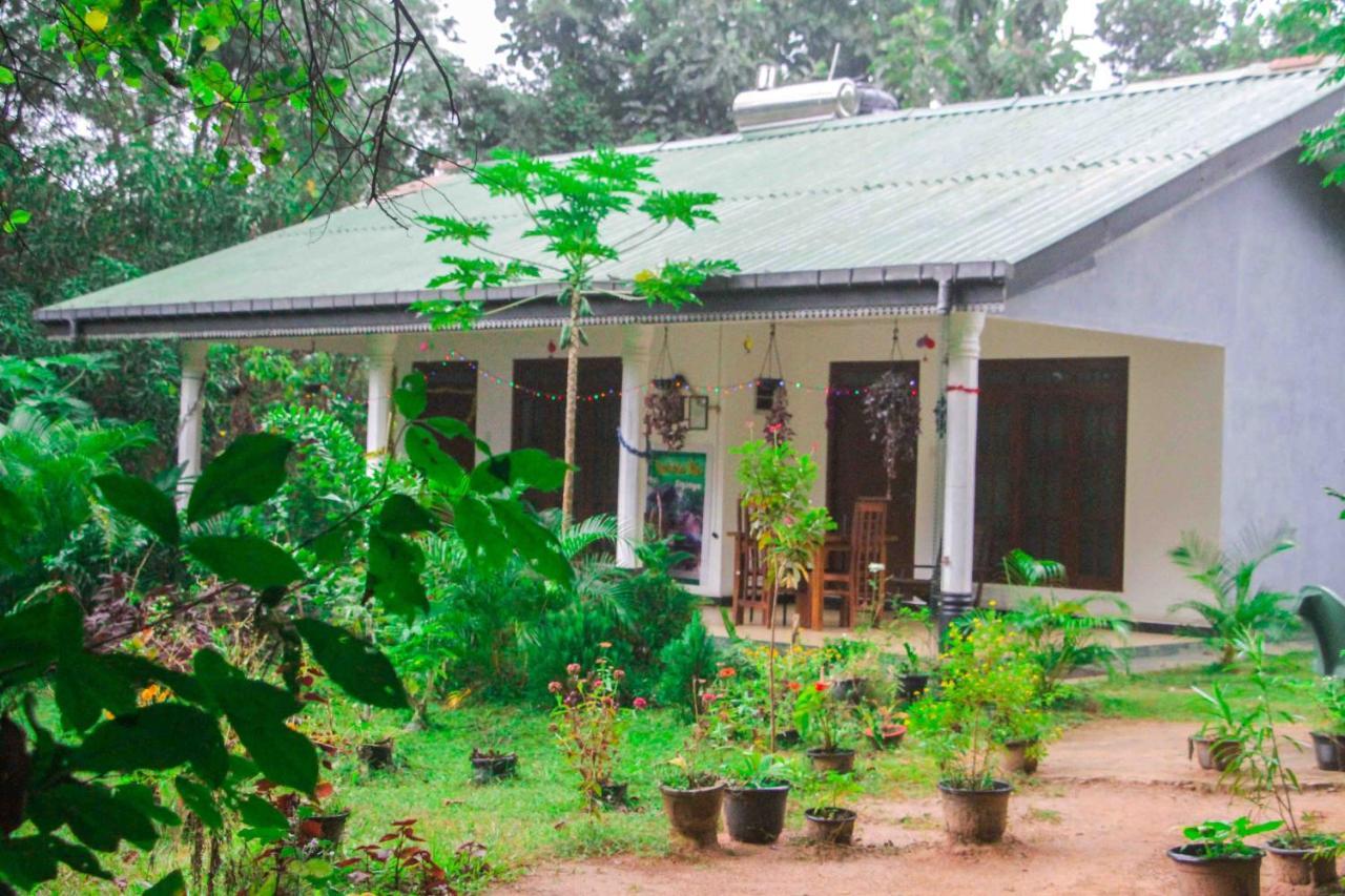 Sigiriya Mana B&B Εξωτερικό φωτογραφία