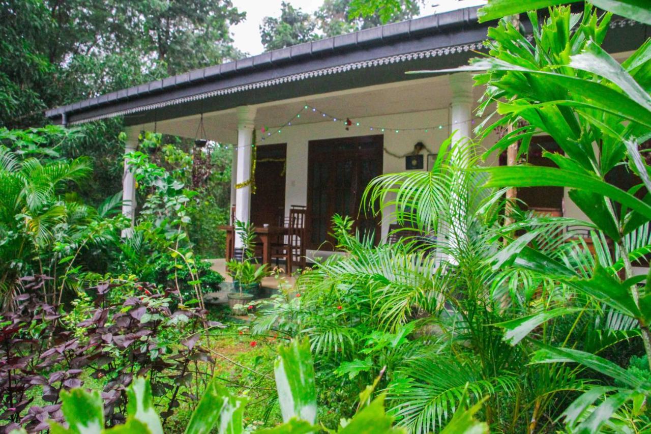 Sigiriya Mana B&B Εξωτερικό φωτογραφία