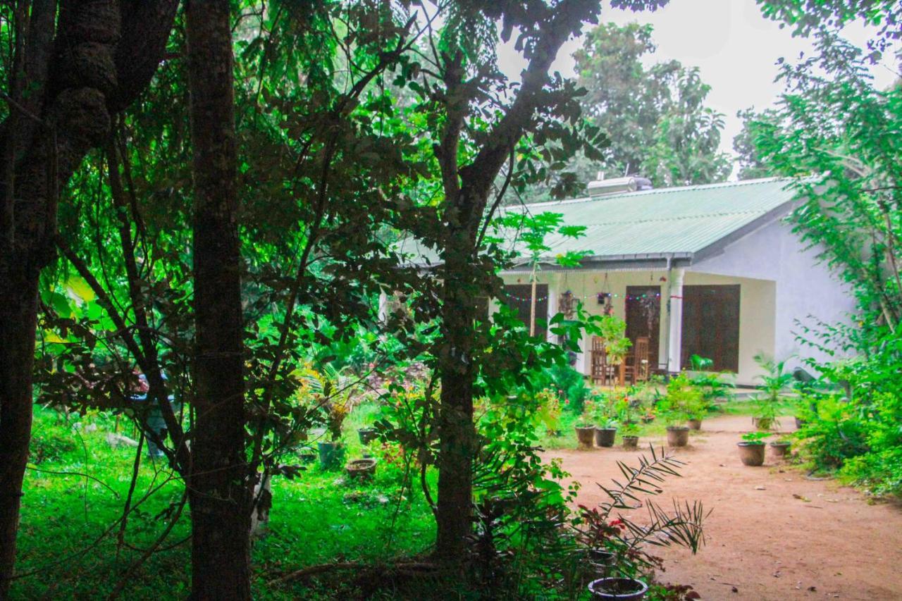 Sigiriya Mana B&B Εξωτερικό φωτογραφία