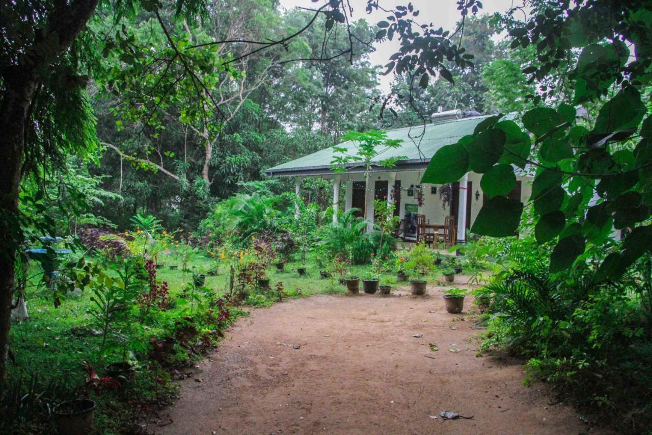 Sigiriya Mana B&B Εξωτερικό φωτογραφία