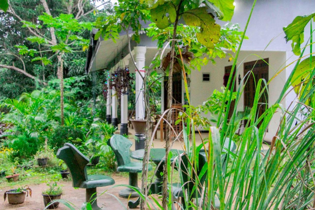 Sigiriya Mana B&B Εξωτερικό φωτογραφία