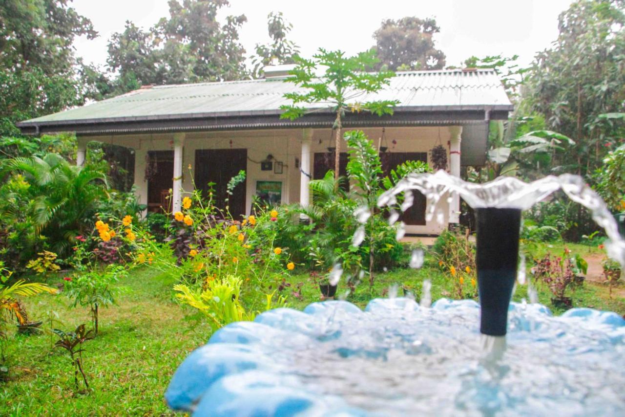 Sigiriya Mana B&B Εξωτερικό φωτογραφία