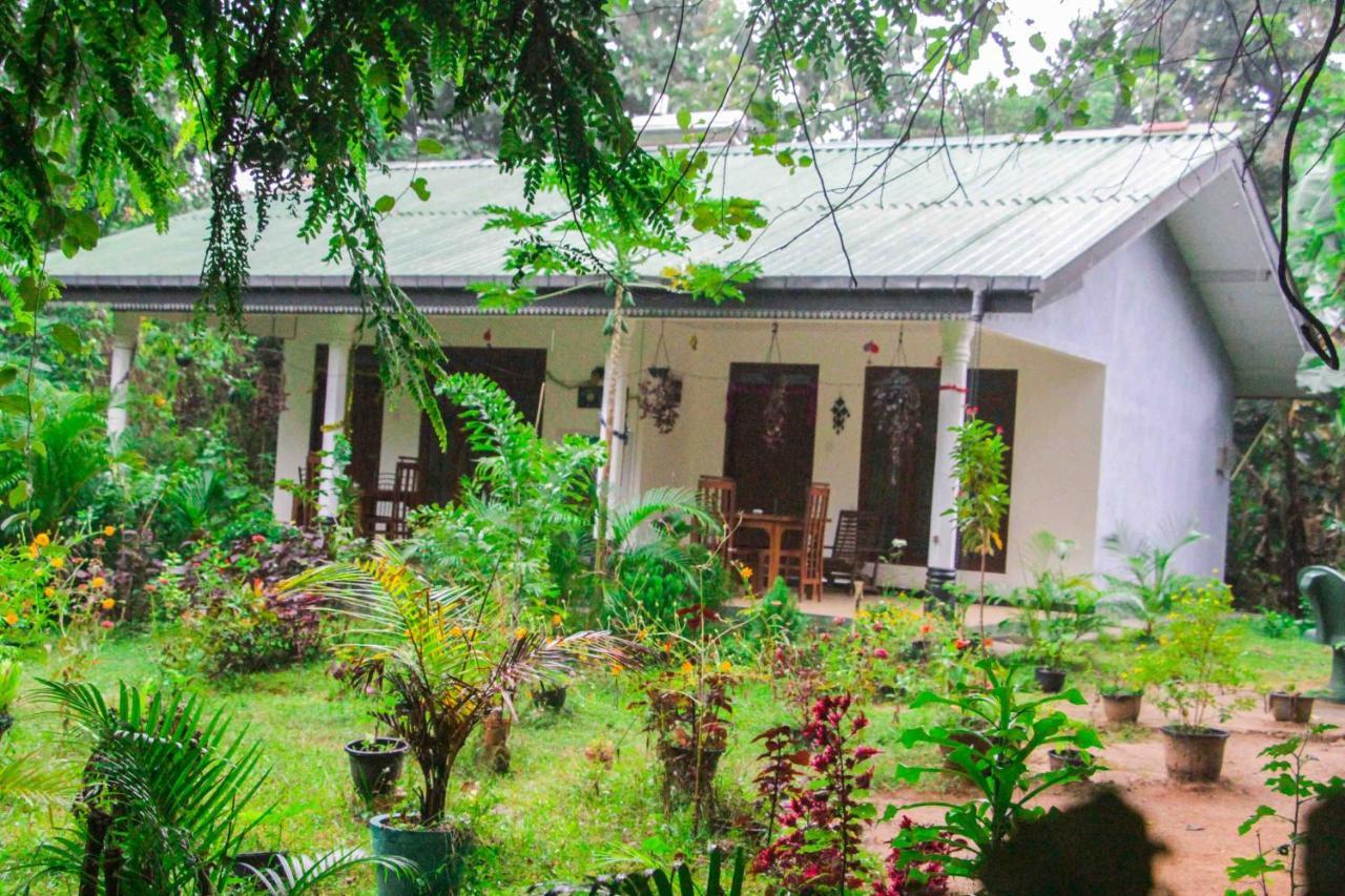 Sigiriya Mana B&B Εξωτερικό φωτογραφία