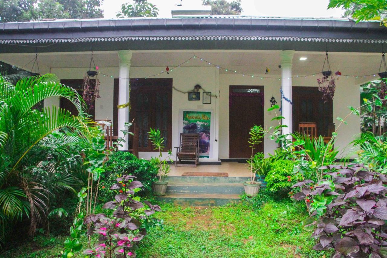 Sigiriya Mana B&B Εξωτερικό φωτογραφία