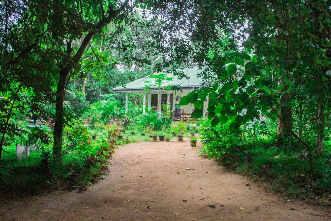 Sigiriya Mana B&B Εξωτερικό φωτογραφία