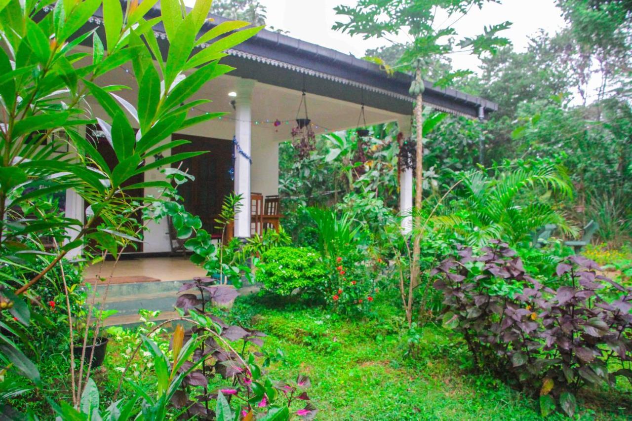 Sigiriya Mana B&B Εξωτερικό φωτογραφία