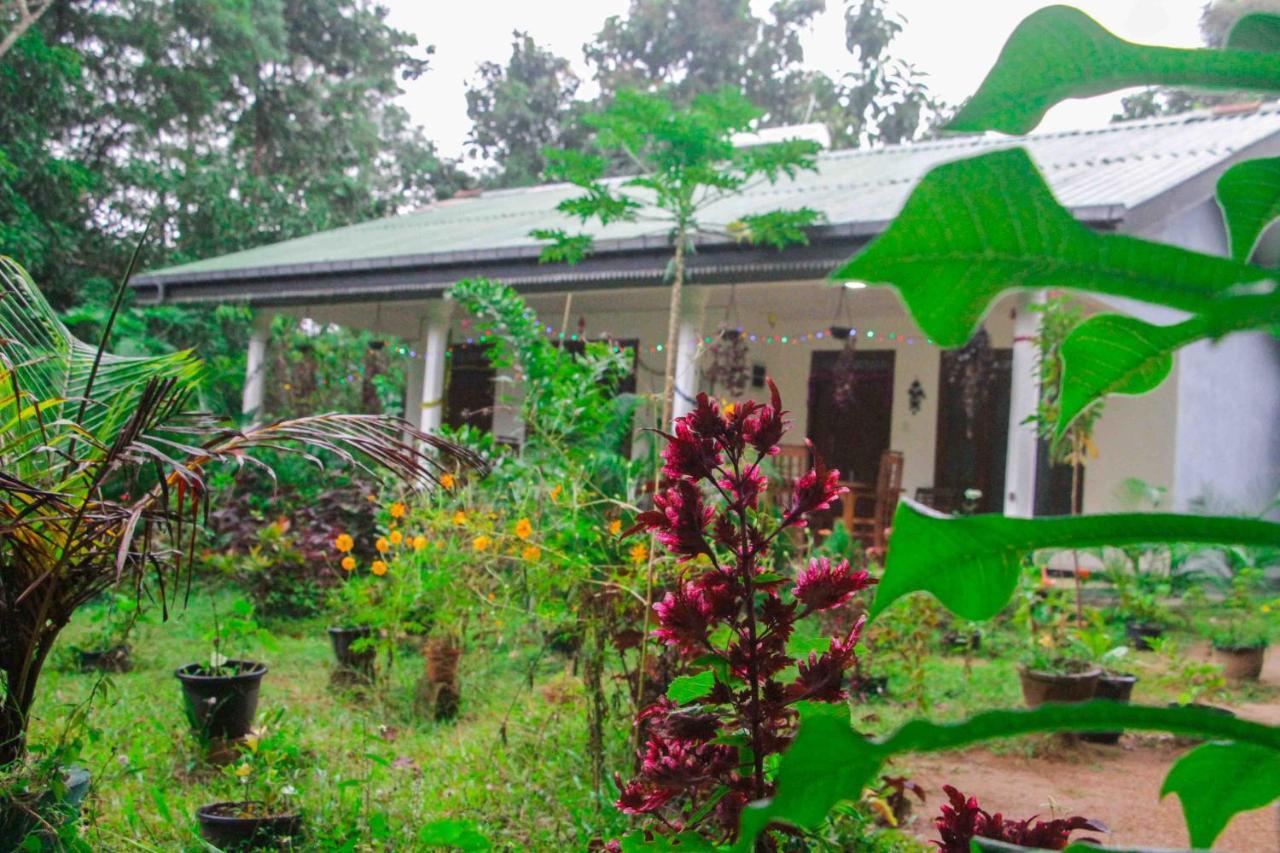 Sigiriya Mana B&B Εξωτερικό φωτογραφία