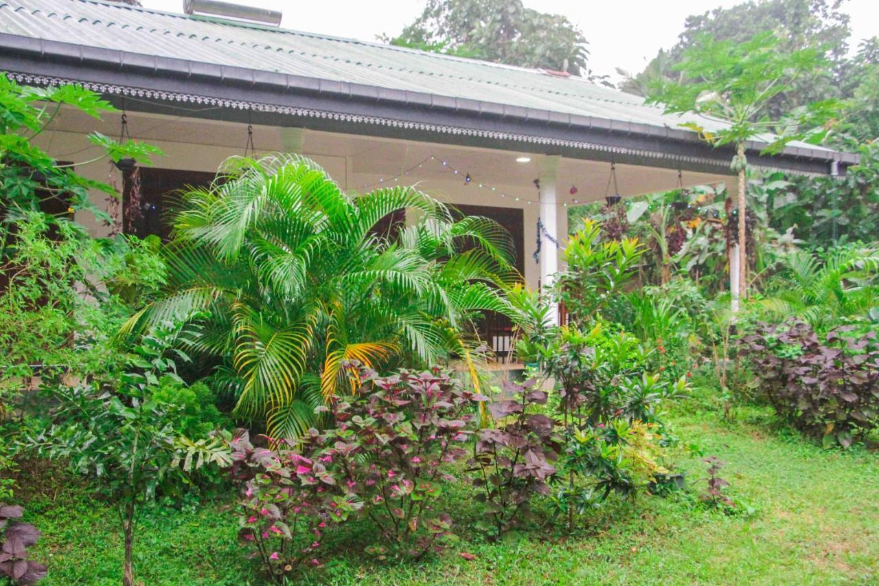Sigiriya Mana B&B Εξωτερικό φωτογραφία
