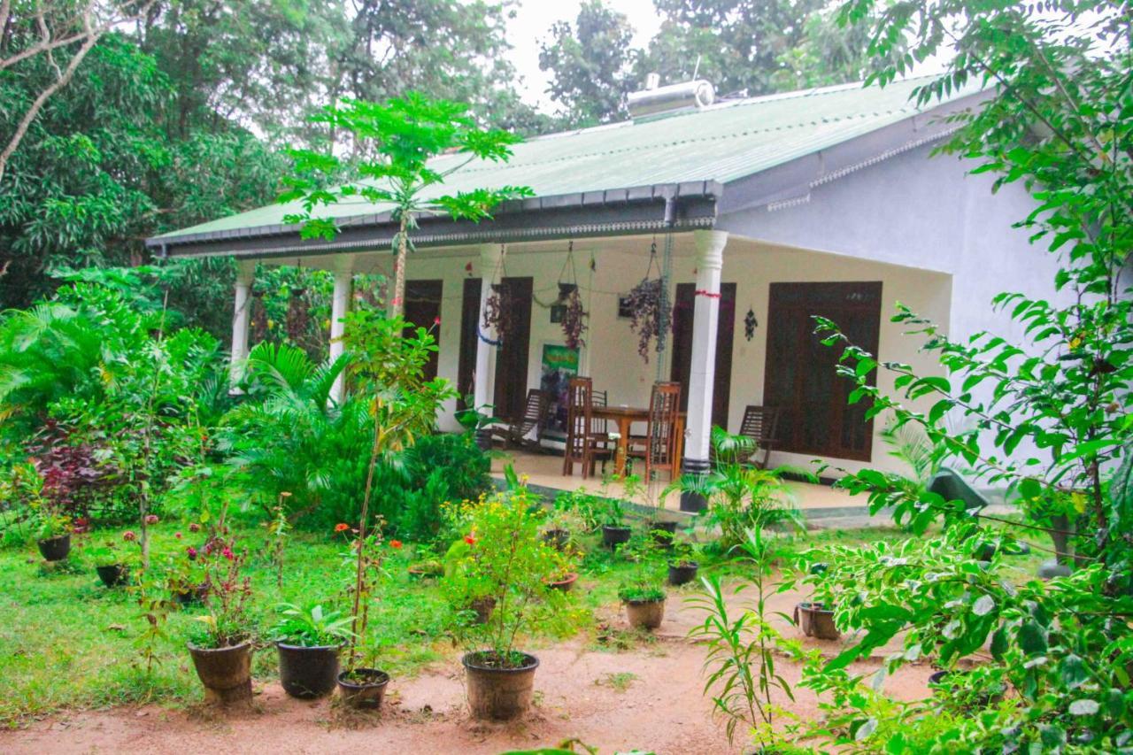 Sigiriya Mana B&B Εξωτερικό φωτογραφία