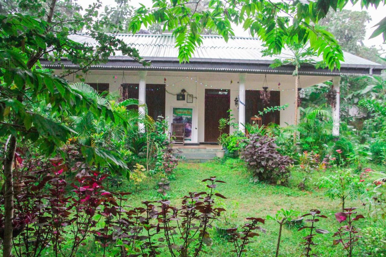 Sigiriya Mana B&B Εξωτερικό φωτογραφία