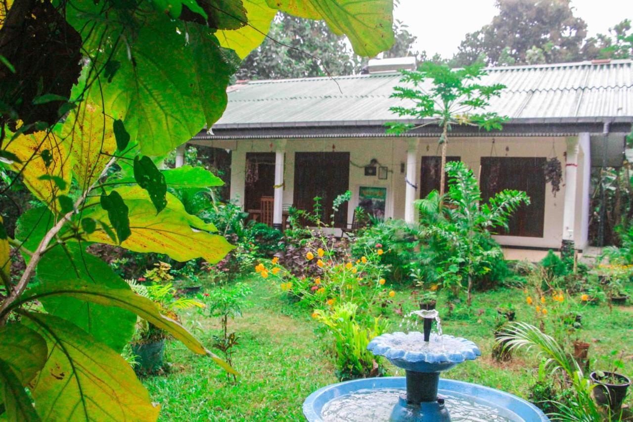 Sigiriya Mana B&B Εξωτερικό φωτογραφία